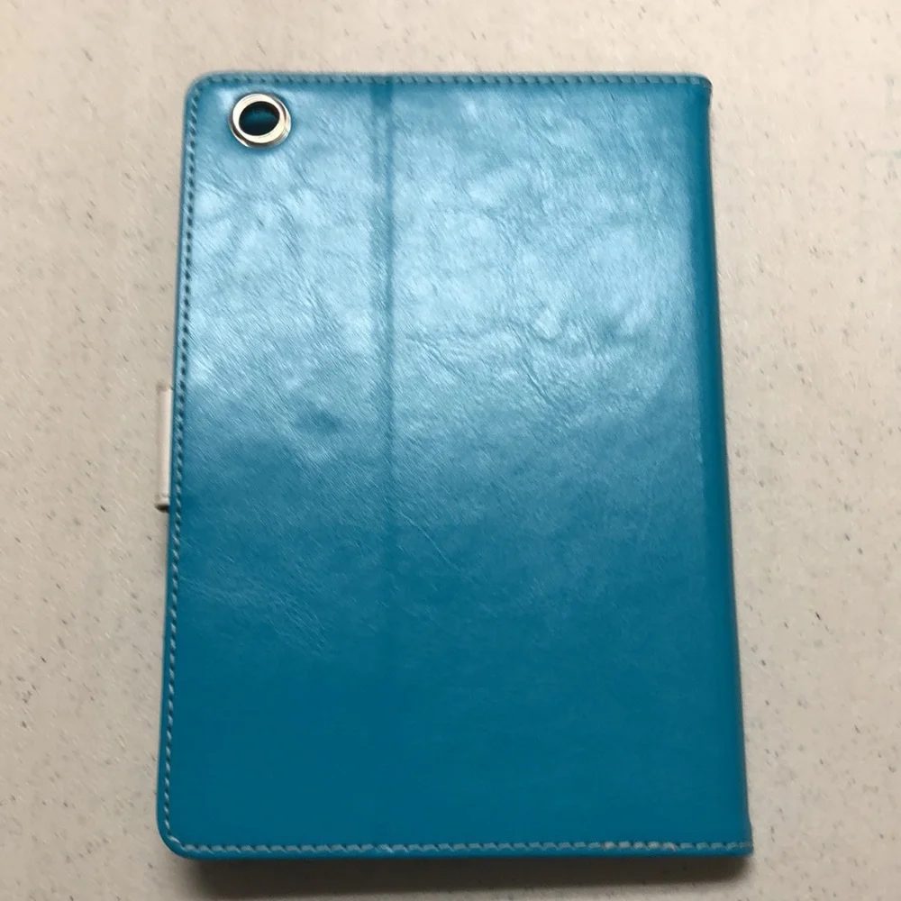 Mini IPad Case: Teal